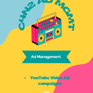 YouTube Video Ad Campaigns
